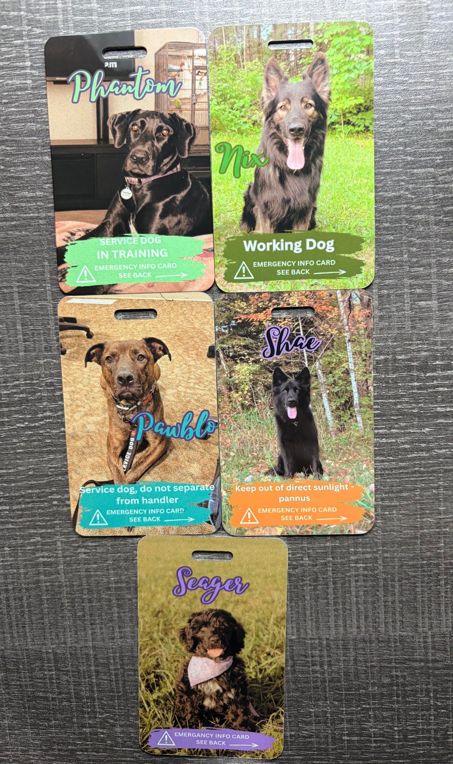 Emergency pet info tags. ORDER VIA FACEBOOK MESSAGES ONLY!