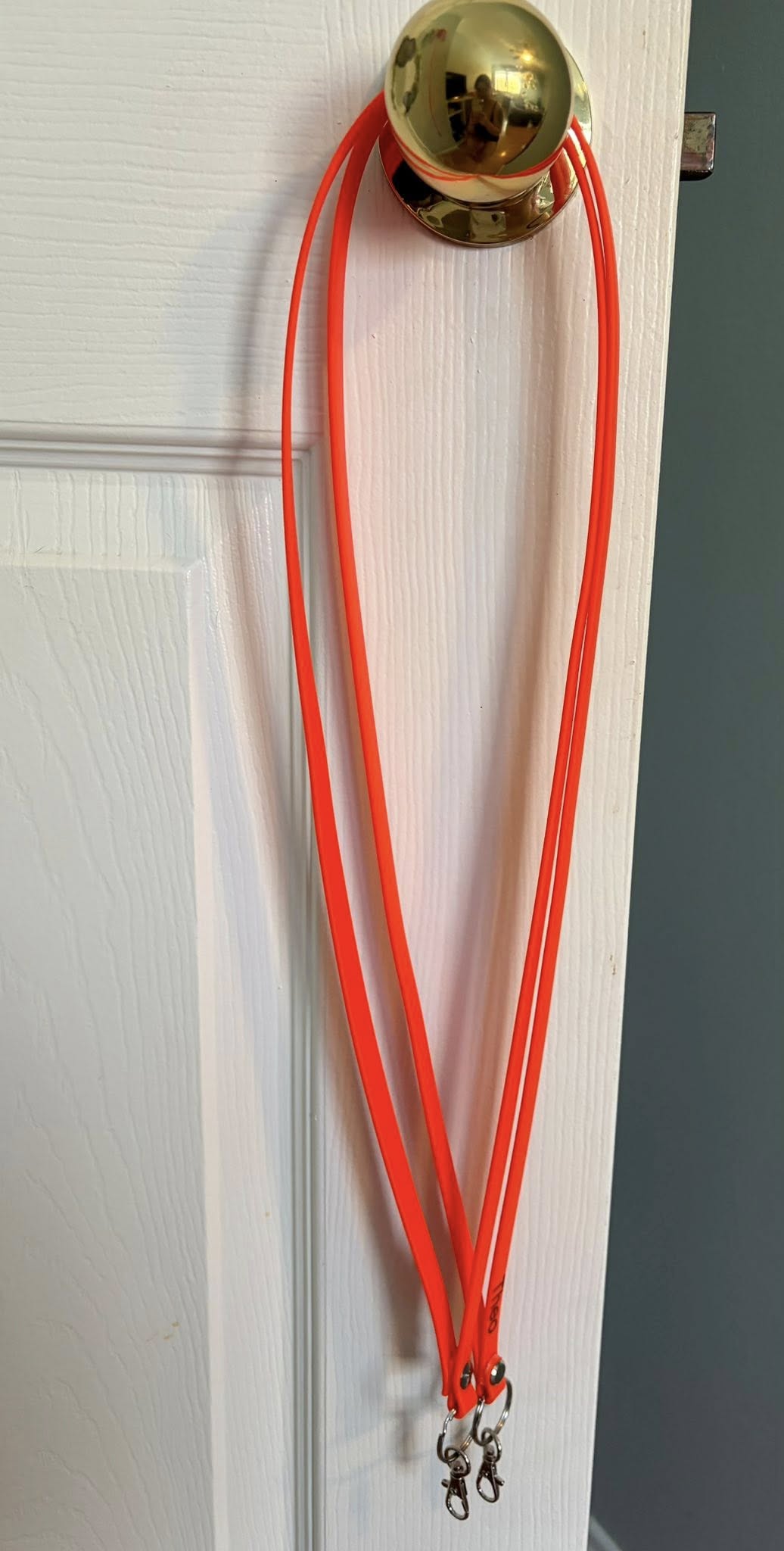 E-Collar Remote Lanyard