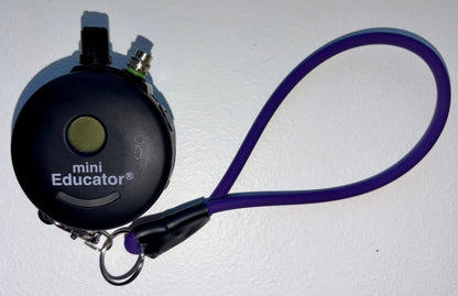 READY TO SHIP! Biothane rope leash set