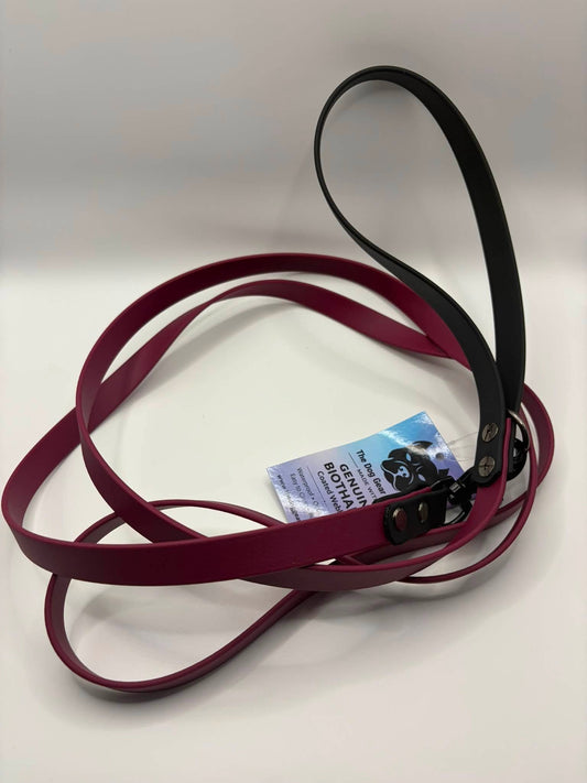 4ft Standard leash