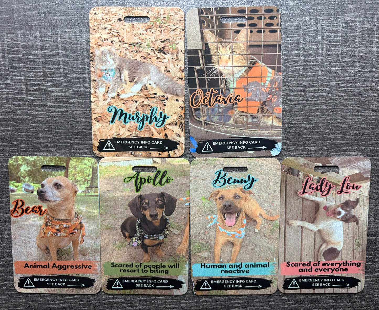 Emergency pet info tags. ORDER VIA FACEBOOK MESSAGES ONLY!