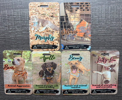 Emergency pet info tags. ORDER VIA FACEBOOK MESSAGES ONLY!