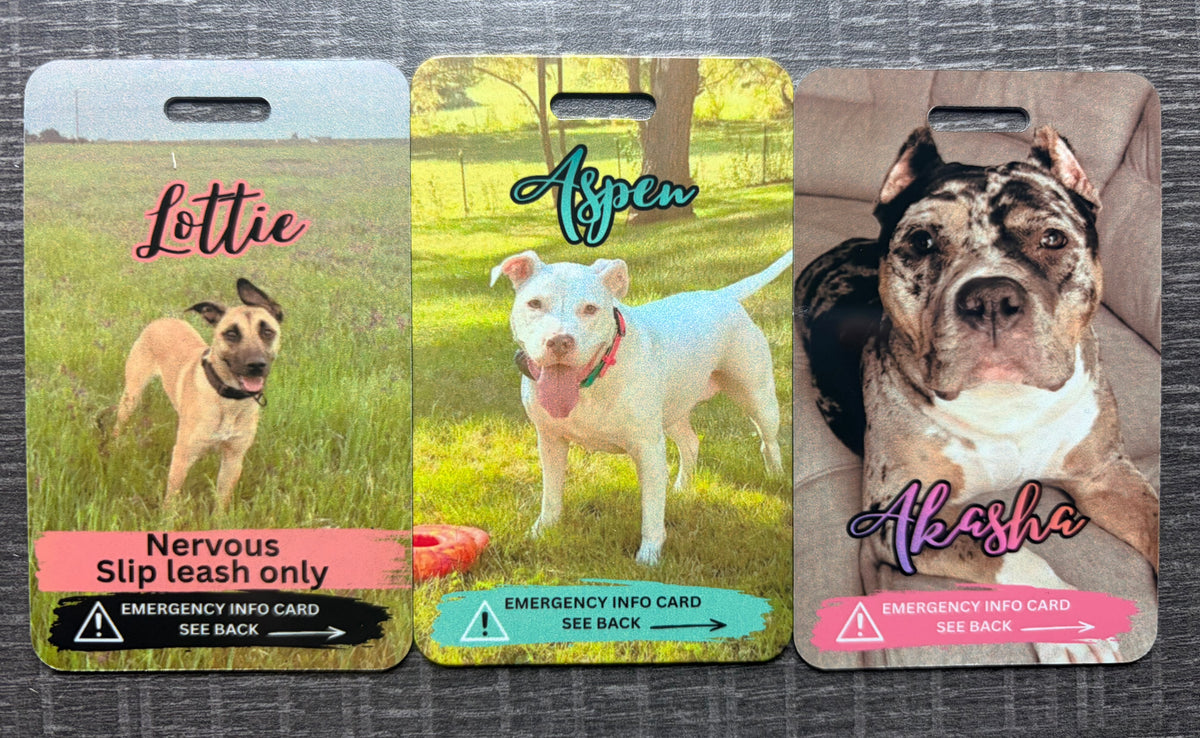 Emergency pet info tags. ORDER VIA FACEBOOK MESSAGES ONLY!