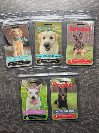 Emergency pet info tags