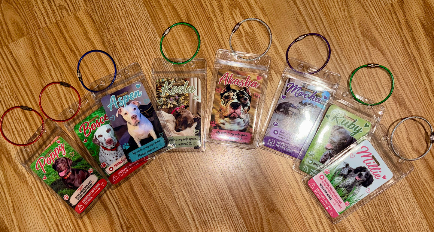 Emergency pet info tags