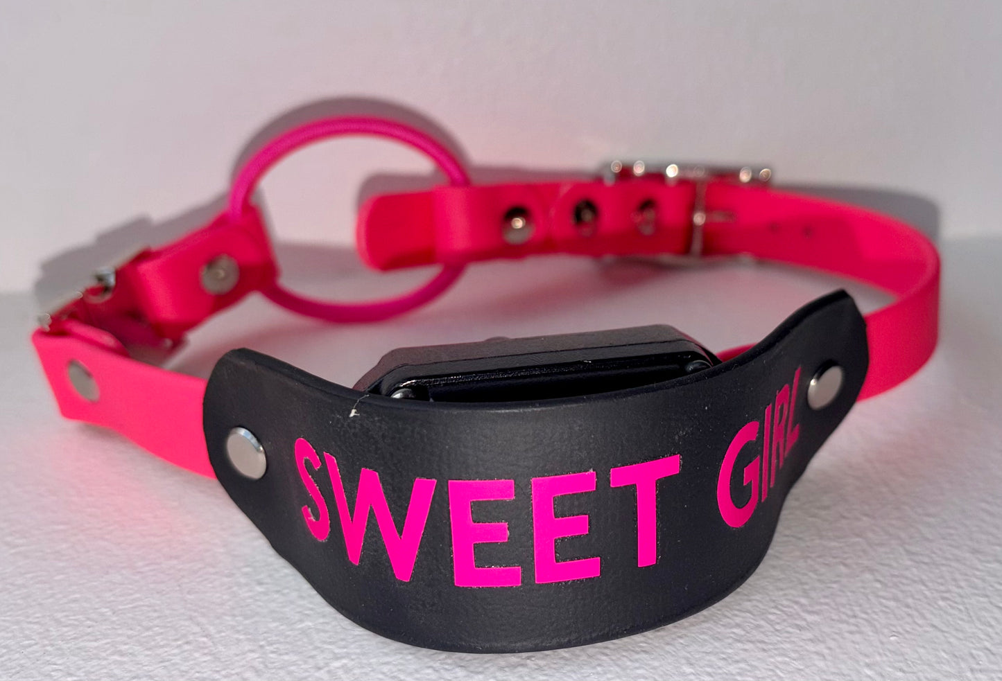 E-Collar Strap