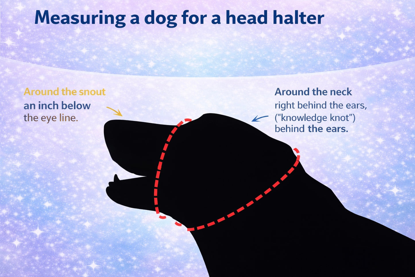 Gentle lead head halter